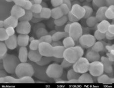 Discrete Nickel Nano Powders